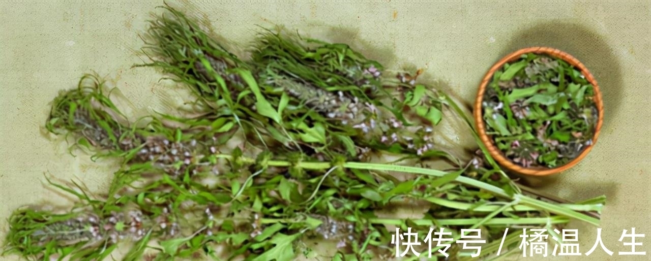 绝迹|宝塔糖的绝迹,是我国制药史的一个悲剧,它的消失意味着什么?