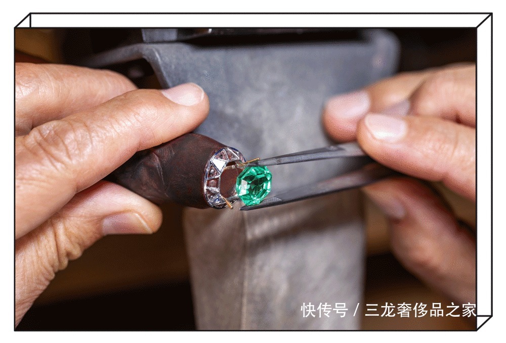 总听到“高珠”这个词!真正的高珠,到底长什么样子?!