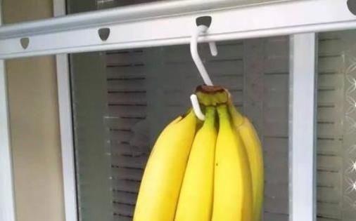 香蕉不易保存,教你一招,放10天也不腐烂不发黑,赶紧试试