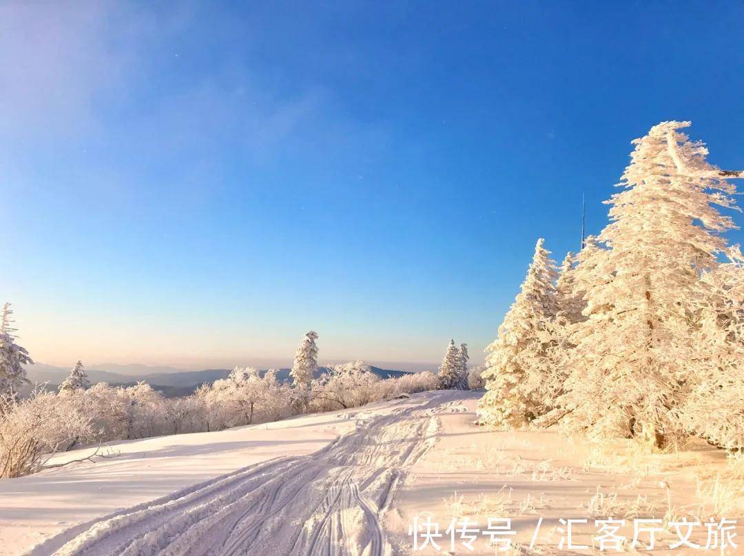 极北之地|首金冠军的家乡，极北之地，这个又美又刚的地方值得上一次热搜！