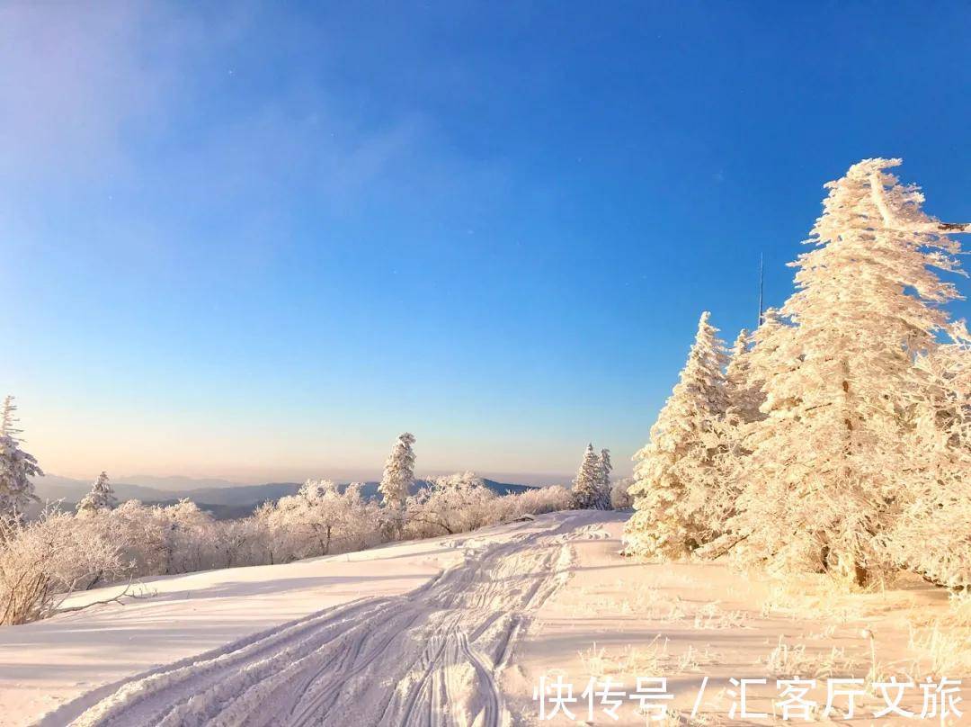 极北之地|首金冠军的家乡,极北之地,这个又美又刚的地方值得上一次热搜!