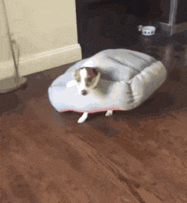 |搞笑段子王:大姐,对不起都是我的错,您别生气了!