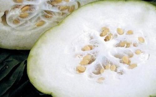 蒜头|夏天要多吃冬瓜，教你1道冬瓜做法，比大鱼大肉还美味，太香了