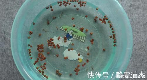 麻烦|坚持用花椒煮水喝，一段时间后，或能为你解决这四个麻烦