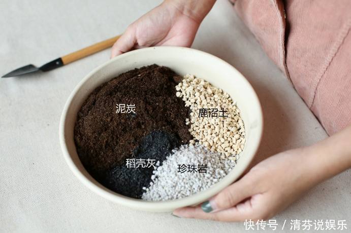 不是什么土都能养花!30年老花农这样配土,网友发现细节有猫腻