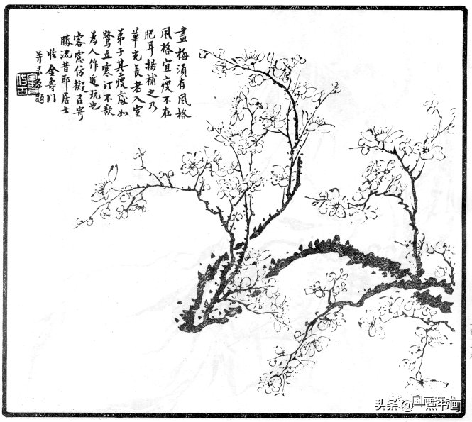 荣宝斋出版社|《古今花鸟画范》选页欣赏 （三）