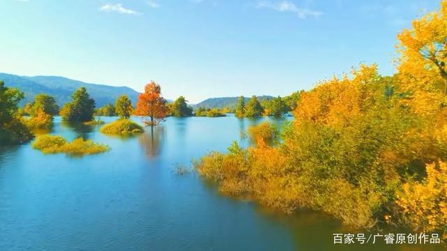 人间#初入人间不知苦,回首已是苦中人