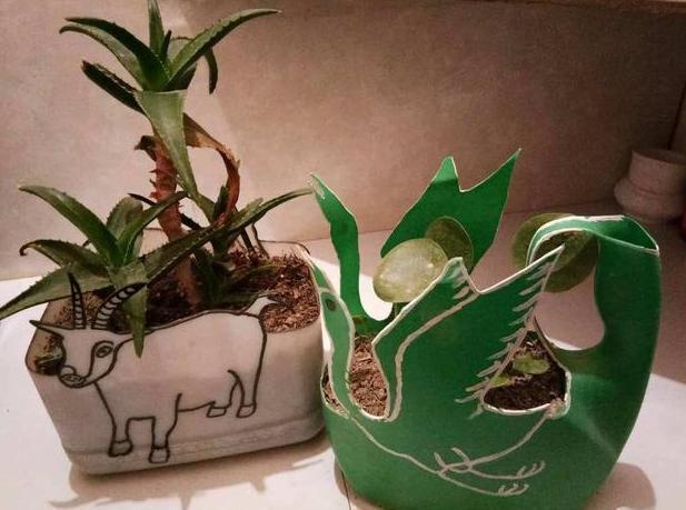 洗衣液桶如何制成养花神器这样几步操作,让它们分分钟大变样