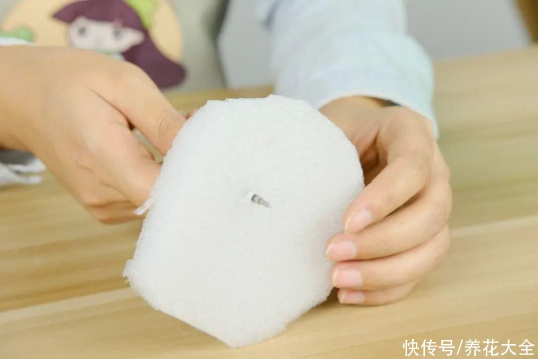 11种常见花，现在扦插，成活率特高