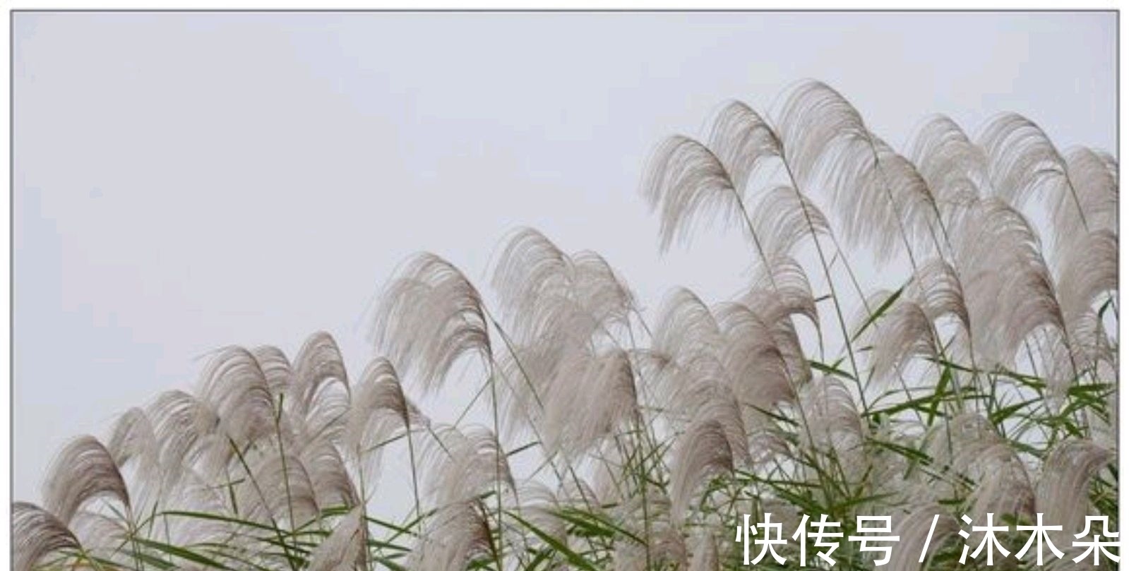 绿兮衣兮|两首悼亡诗，一首是丈夫思念妻子，一首是妻子思念丈夫，痛彻心扉