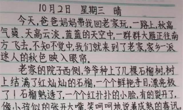 书写习惯|小学生作业被老师晒出来，工整如打印体，网友：我们班里也有一个