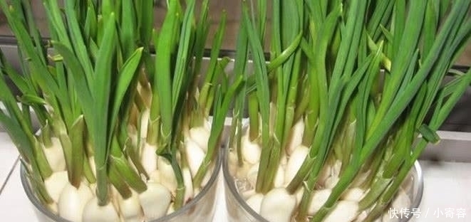 养肝护肝|患有肝病不用怕, 常吃这几样食物, 排毒养肝, 肝慢慢变好!