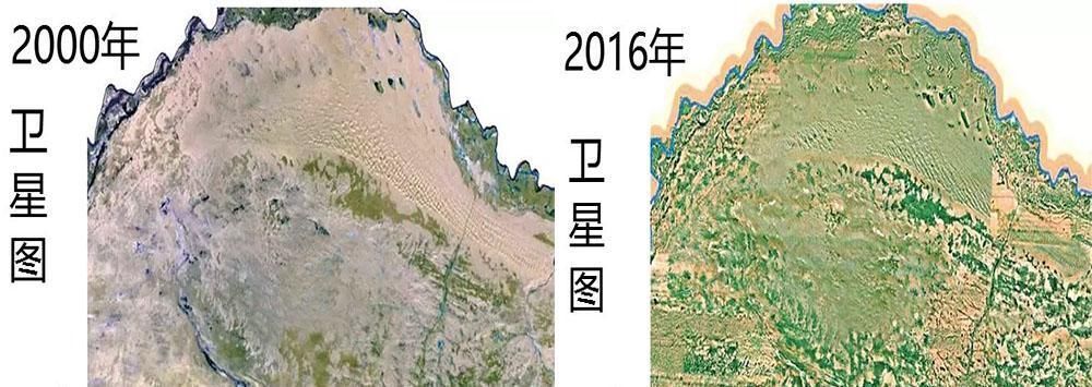 中国一片沙漠,29年后却被森林覆盖是谁创造了这个奇迹