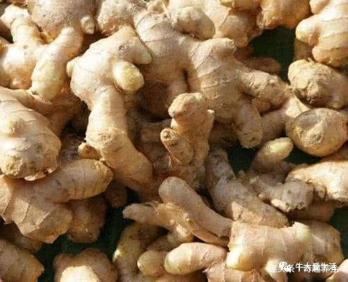 便秘|生姜加“1物”,连喝3天肾变强,口臭便秘“全失踪”