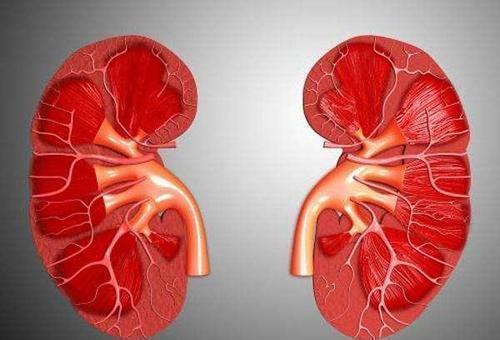 尿酸|尿酸高患者,不妨多吃这些碱性食物,轻松排尿酸,痛风不再来