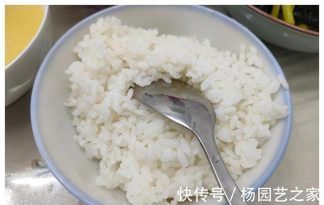 母子2人的晚餐，发到朋友圈走红，网友：营养美味，低脂好吃