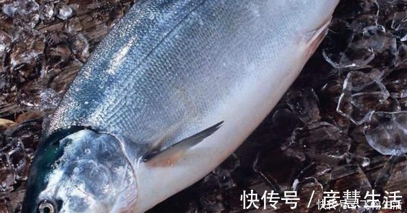 增强记忆|家里有小孩的,6种食物经常吃,增强记忆力,大脑更聪明