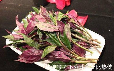 养生|秋季养生,适合吃3种食物,增强体质,延缓衰老,开胃促消化