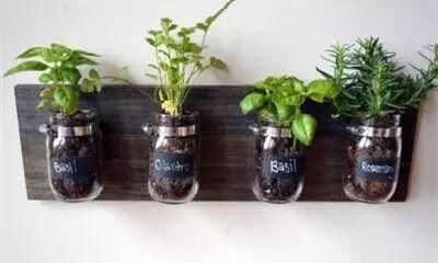 没想到老干妈瓶子能做成这个,后悔扔了那么多……