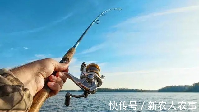 江苏一男子野钓捅了水老虎窝，一不小心就爆护了，网友：适当索取