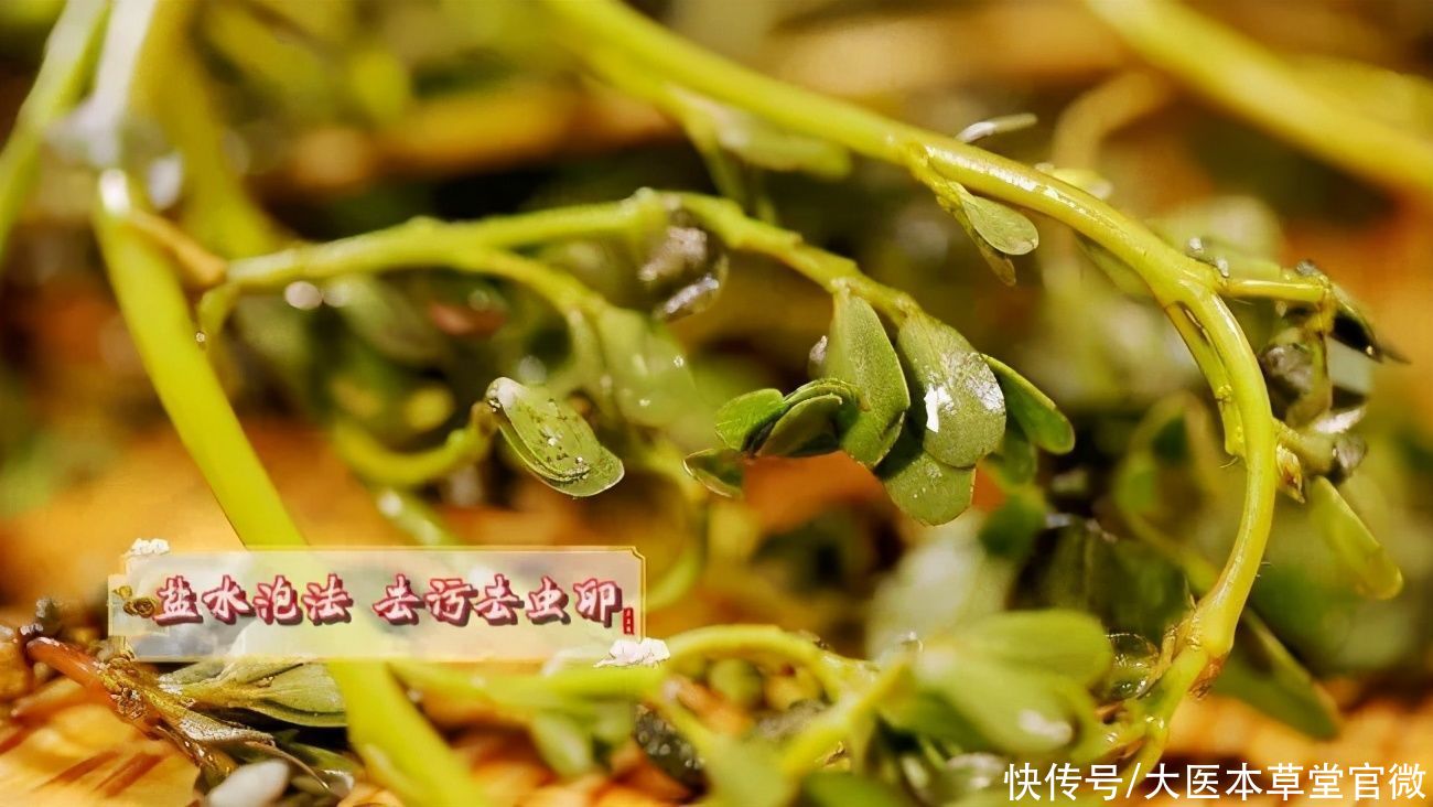 中国传统文化|7月不吃肉,也要吃这菜!被称为“天然抗生素”,常吃对身体好