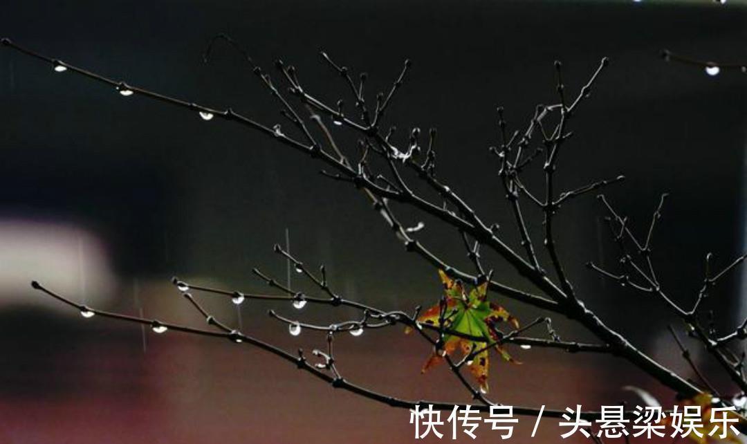 文人$蒋捷这首《少年游》被严重低估了,可以媲美那首听雨词,同样伤感