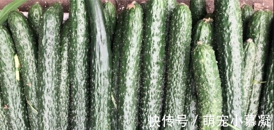 催熟|卖了20年菜的三婶透露:这4种常见的激素蔬菜要牢记,别买错了