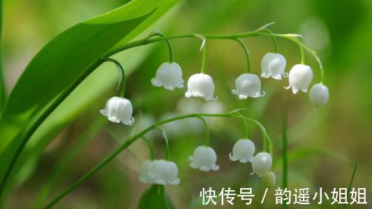 花香$隔岸桃花照眼明,一船春水载歌声