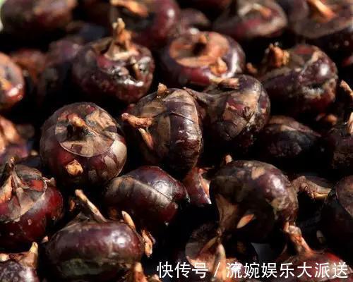 痔疮|不想被痔疮困扰平时用泡水此几物喝,消肿活血,痔疮悄悄不见