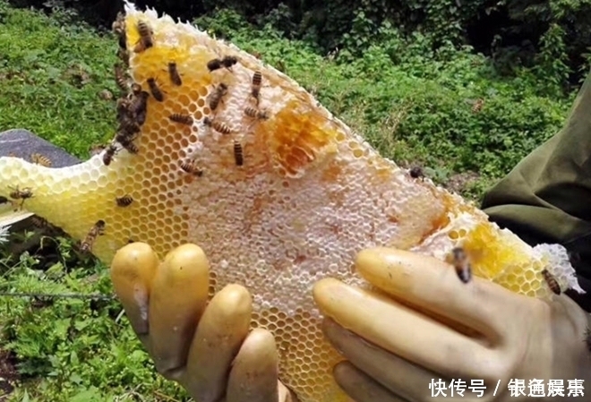 这4种食物越放越“值钱”,不怕过期千万别扔,别傻傻不知