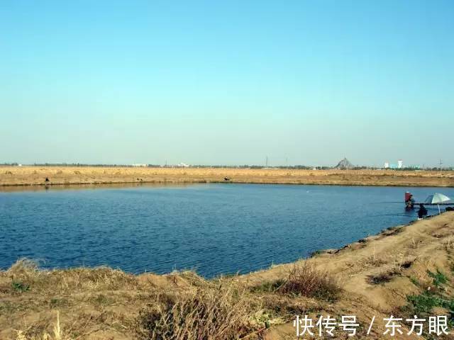 《钓鱼》的结局,惊醒无数人!