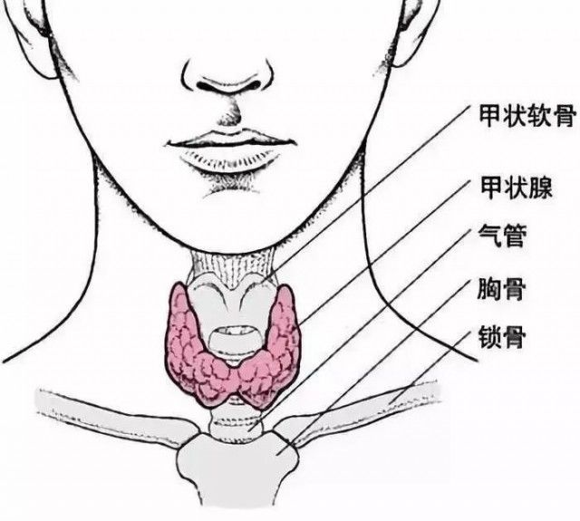 北京大学第一医院|比周围人「怕冷」的你，该查查甲状腺了