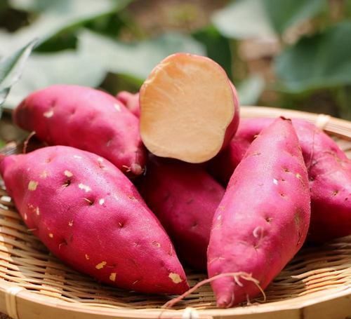 红薯和它一起煮，相当于燃脂运动2小时，小蛮腰瘦出来，皮肤光滑