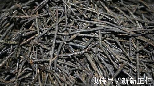 苦丁茶|天然“降压药”就在身边,早晚喝一杯,扩张血管,血压“乖乖”降