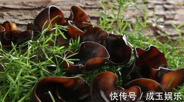 圣女果|很有营养的3种食物,排毒养颜、延缓衰老,身体棒棒哒!