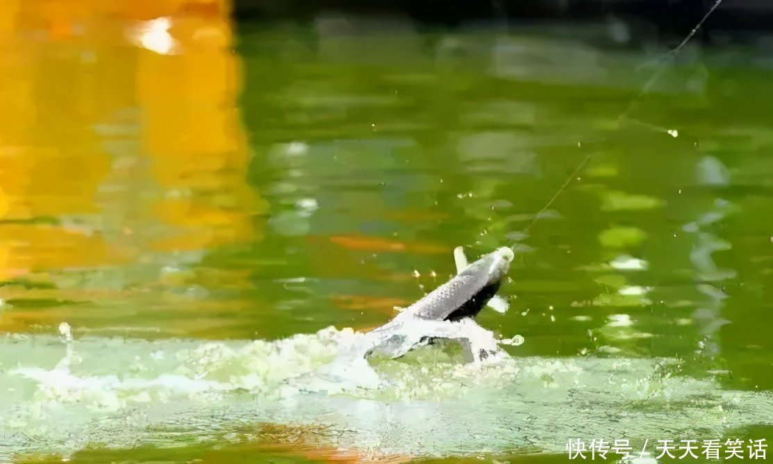 高低|调漂调高低的具体操作原则是什么？具体调漂说明了解一下！