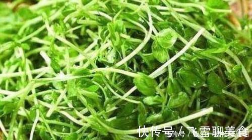 蘆薈|人到中年，要學會吃三種食物，排毒潤膚，延緩衰老，增強皮膚彈性