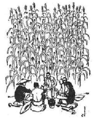 速写|在粮食生产的战线上 1960年《人民日报》上人民公社速写