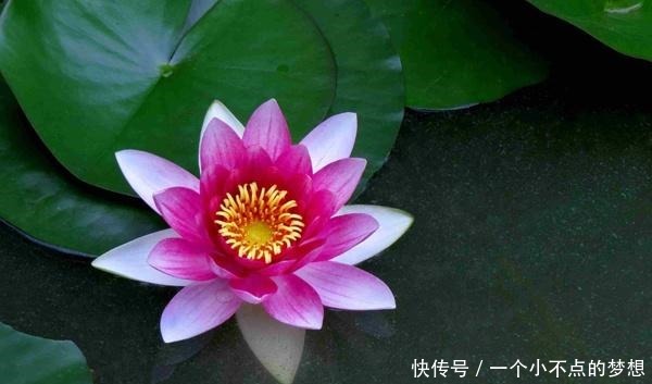 做人,别干4种“傻事”,方为处世的“高手”