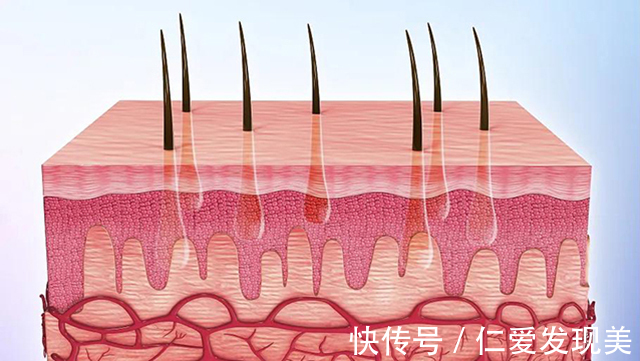 密度 植发单位数量“够不够”,到底是什么决定?