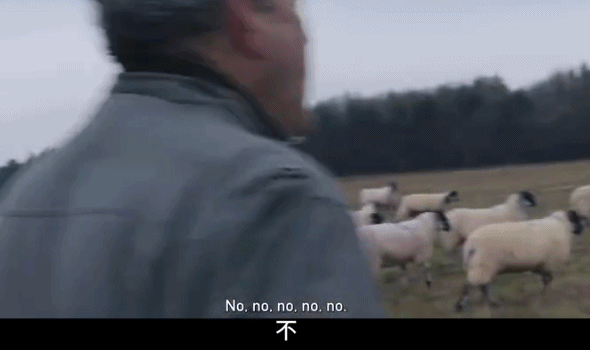 養(yǎng)羊|9.6分,這節(jié)目可把大明星虐爽了