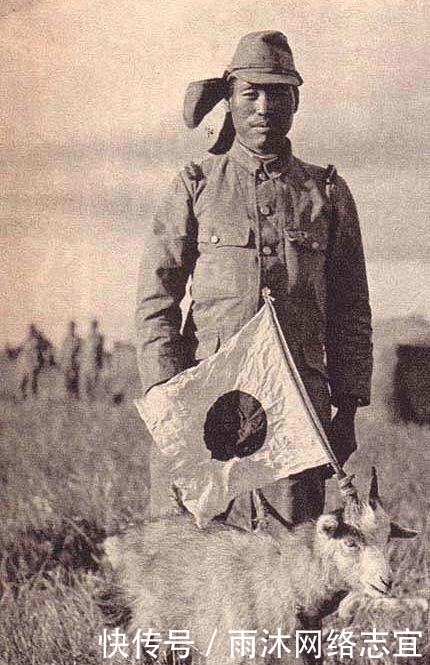 狙击手|罕见老照片:苏联女兵一个个貌美如花,被狙击手爆头的可怜士兵