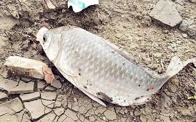 开散炮|冬季垂钓最管用的三种方法,多窝钓不是最佳,最后一个却经常爆护