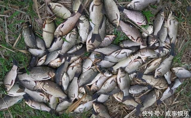 虫饵|冬钓鲫鱼,提升上鱼率的5个方法,鱼口轻不用怕,方法总比困难多