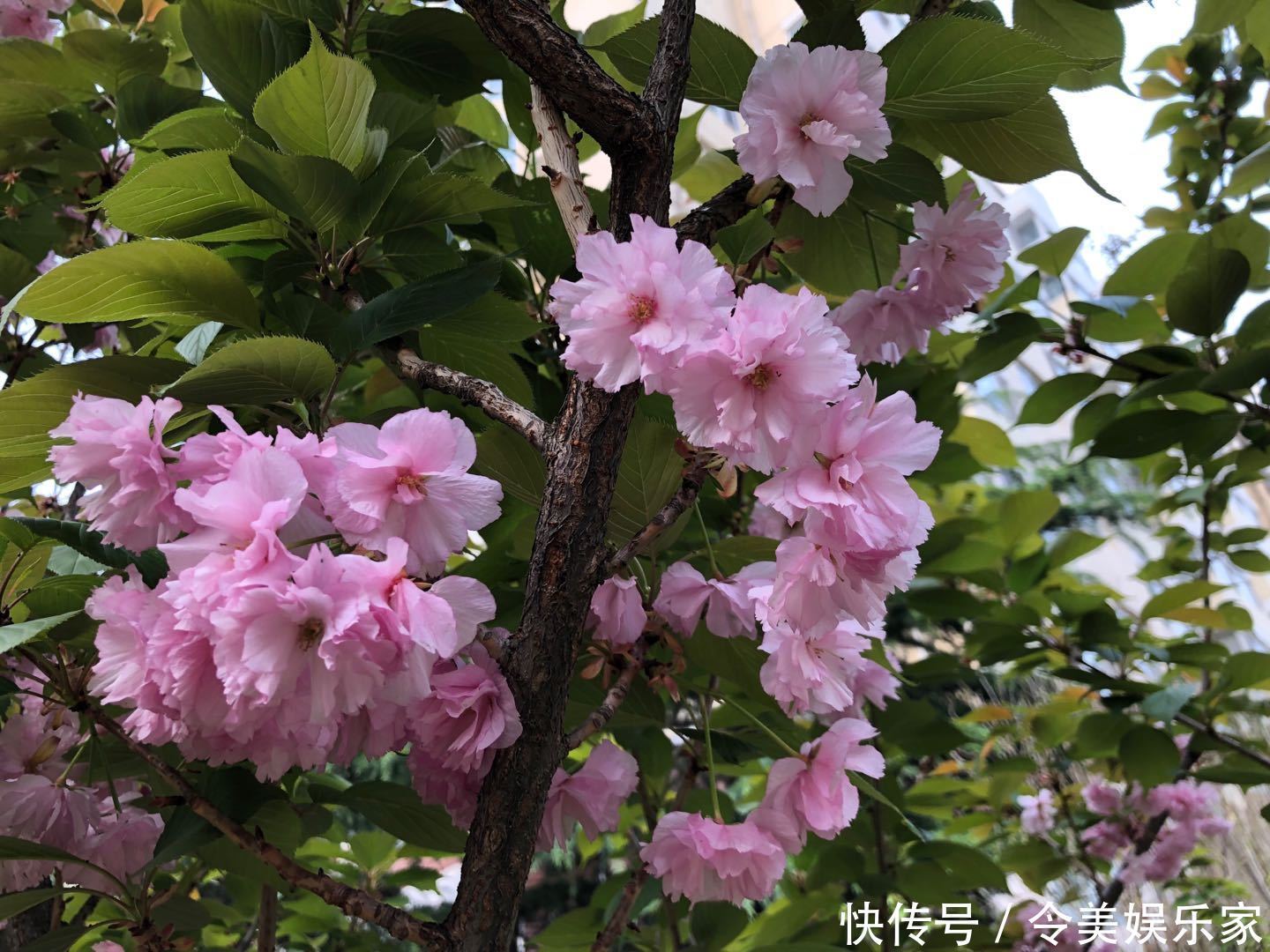 股权|视觉中国被质疑“贡臣”诡异并购,为美国图片老大消灭对手