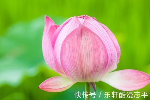 金运缘|8月下旬，运势如虹，4属相中大奖、遇贵人，富贵满堂