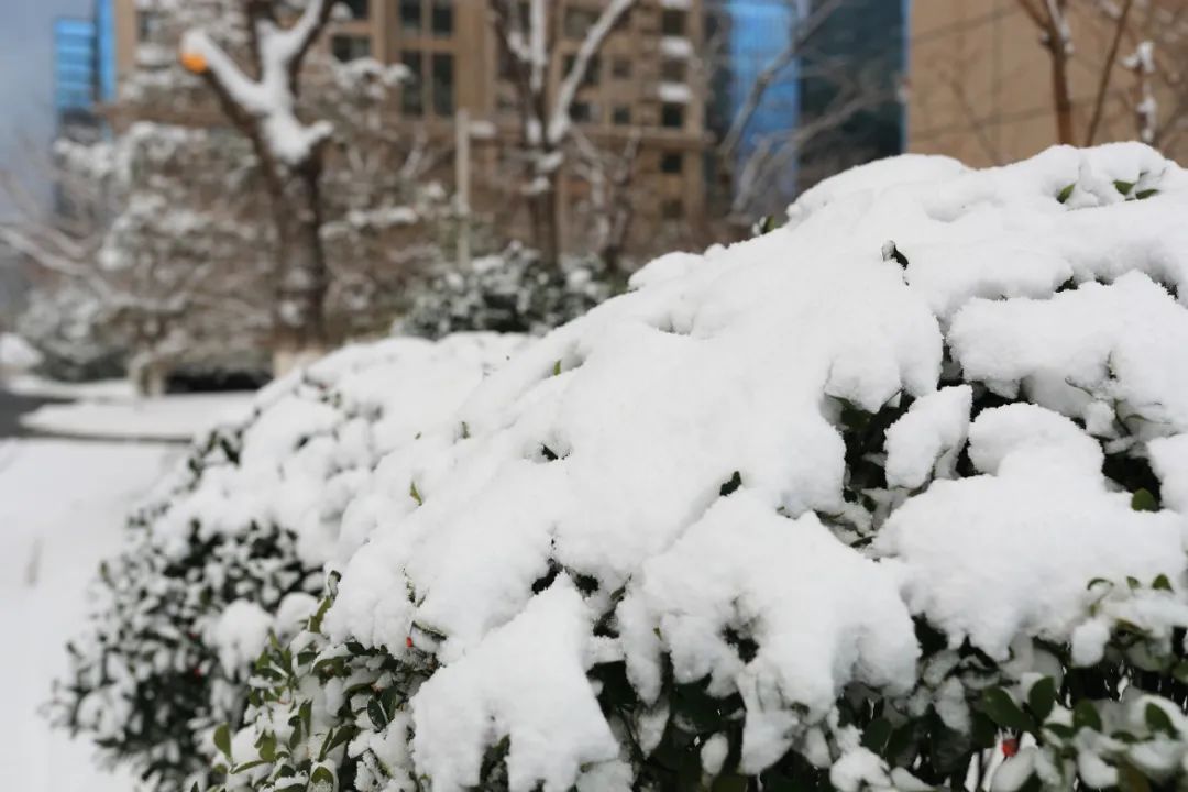 孙俊杰|多图！雪中的烟台高新区美出新高度