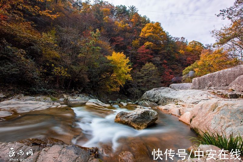 大别山|“岳西红”，大别山迎来绝美秋景