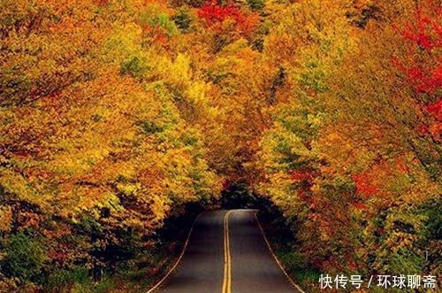 古典君|断鸿渺渺空银海,疏雨潇潇满玉楼;八首七律诗,已是天凉好个秋