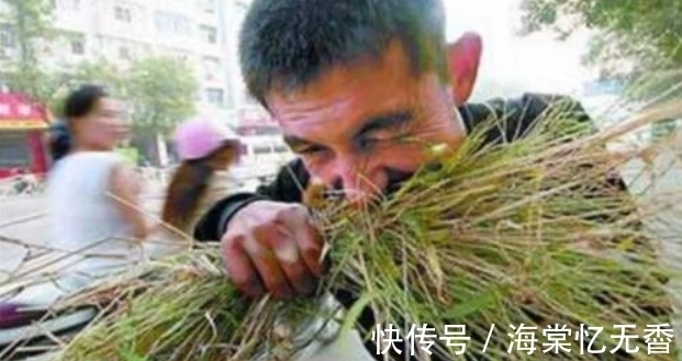 奇人|“三峡奇人”龚孝清酷爱吃草，34年吃草40吨，如今他怎样了？